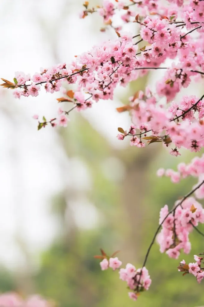 5 Electronic Projects To Use In Your Garden