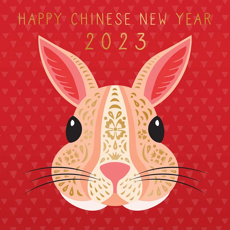 PCB Fabrication - Chinese New Year