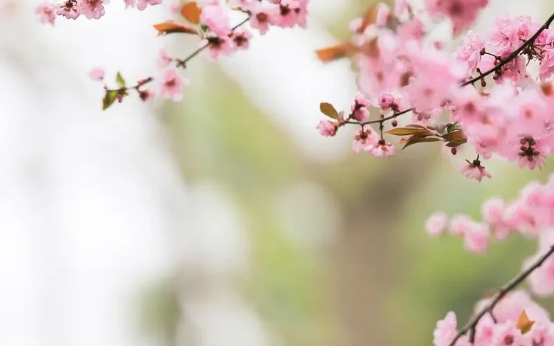5 Electronic Projects To Use In Your Garden